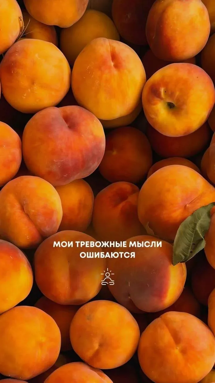Доброе утро ❤️ сегодня мой вес 98.9кг (плюс 400гр)