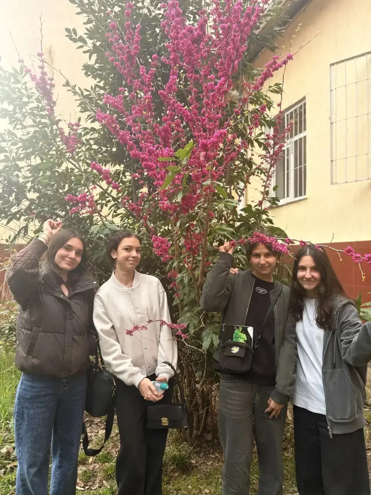 🌸✨ Весеннее чудо в школьном агропарке!🌸  Прямо сейчас на территории нашего школьного агропарка проис