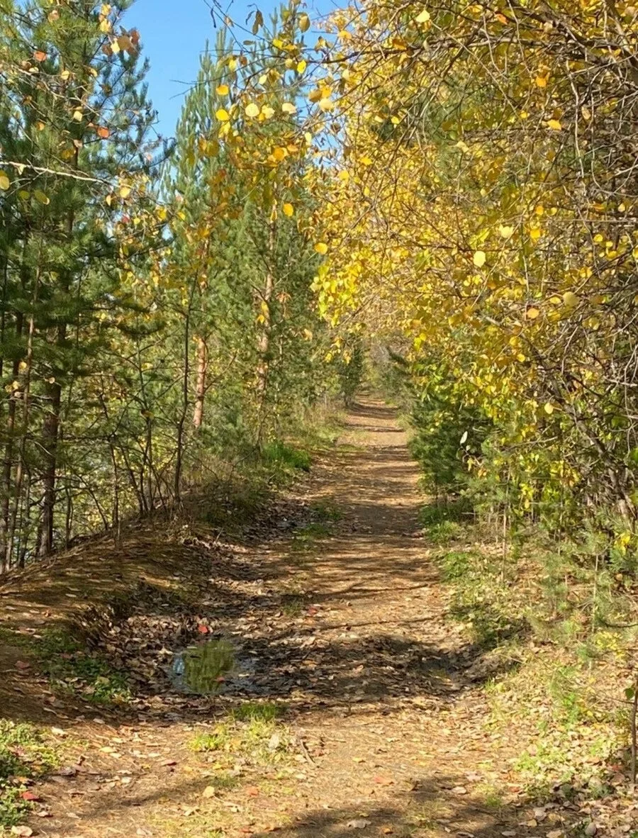 Присылайте Ваши фото в "Предложить пост"