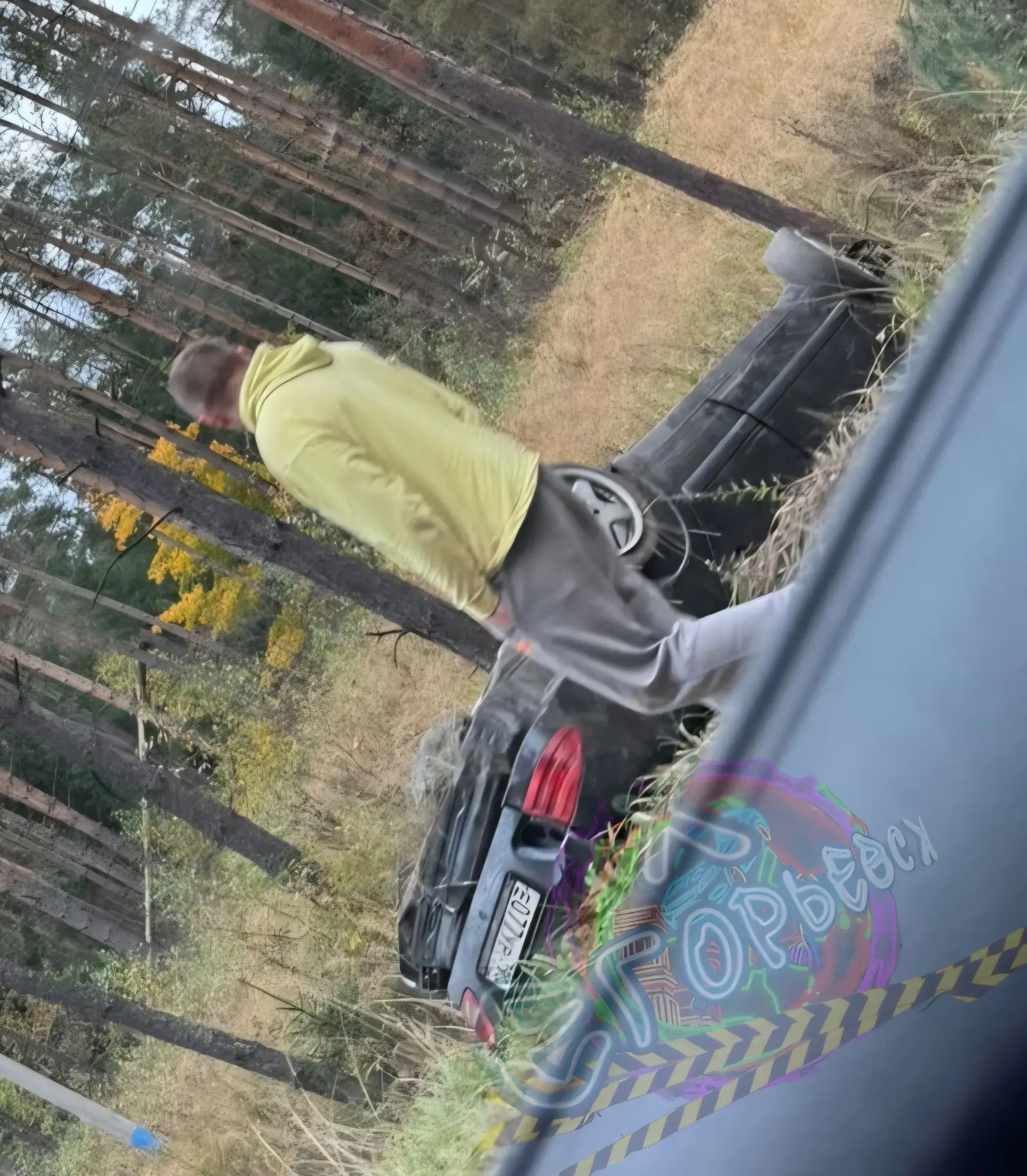 Овчагино, сегодня утром.