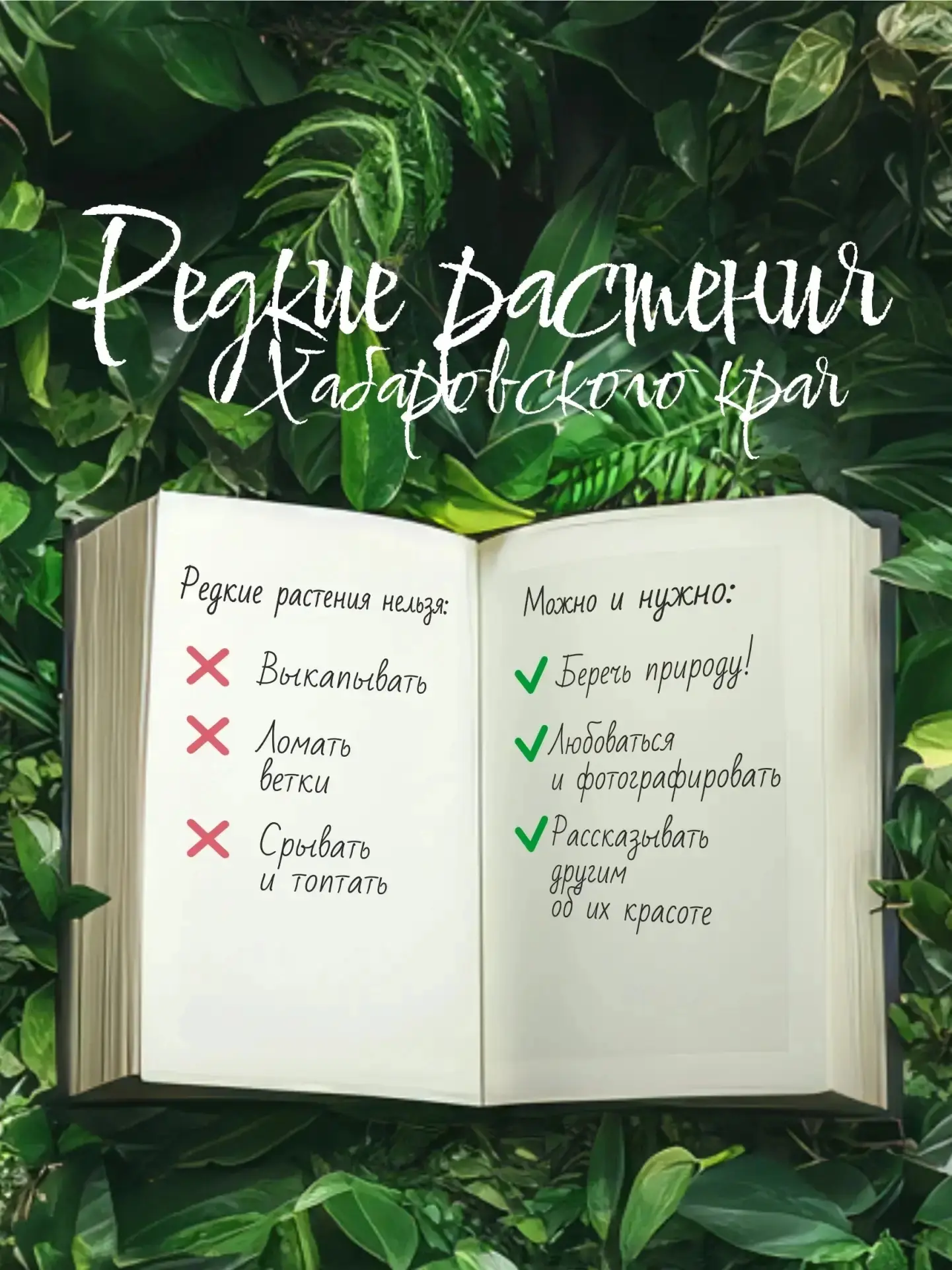 🌸 Редкие растения Хабаровского края 

Наш край – это удивительное место, где растут уникальные раст