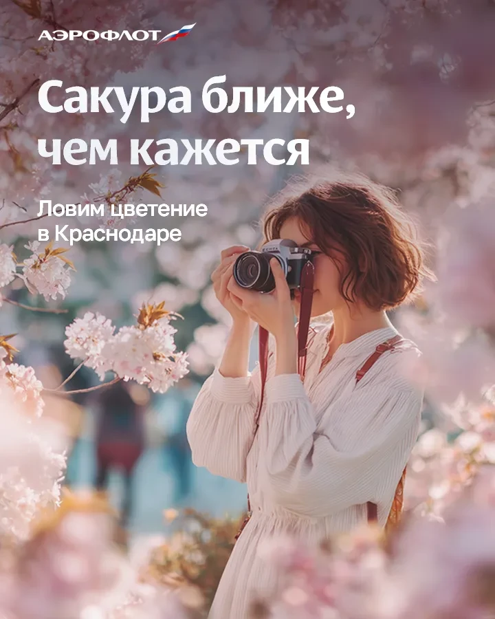 Сакура ближе, чем кажется   «Вишен цветы Будто с небес упали. Так хороши!»  Кобаяси Исса  Для любова