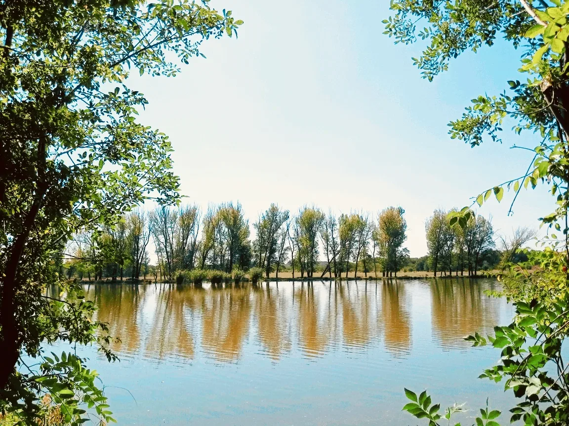 С добрым утром 🌞