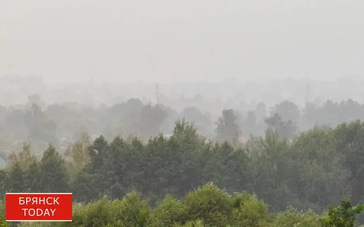 Грозы и град накроют Брянщину 17 июня

https://bryansktoday.ru/article/265031

Днём 17 июня погода в