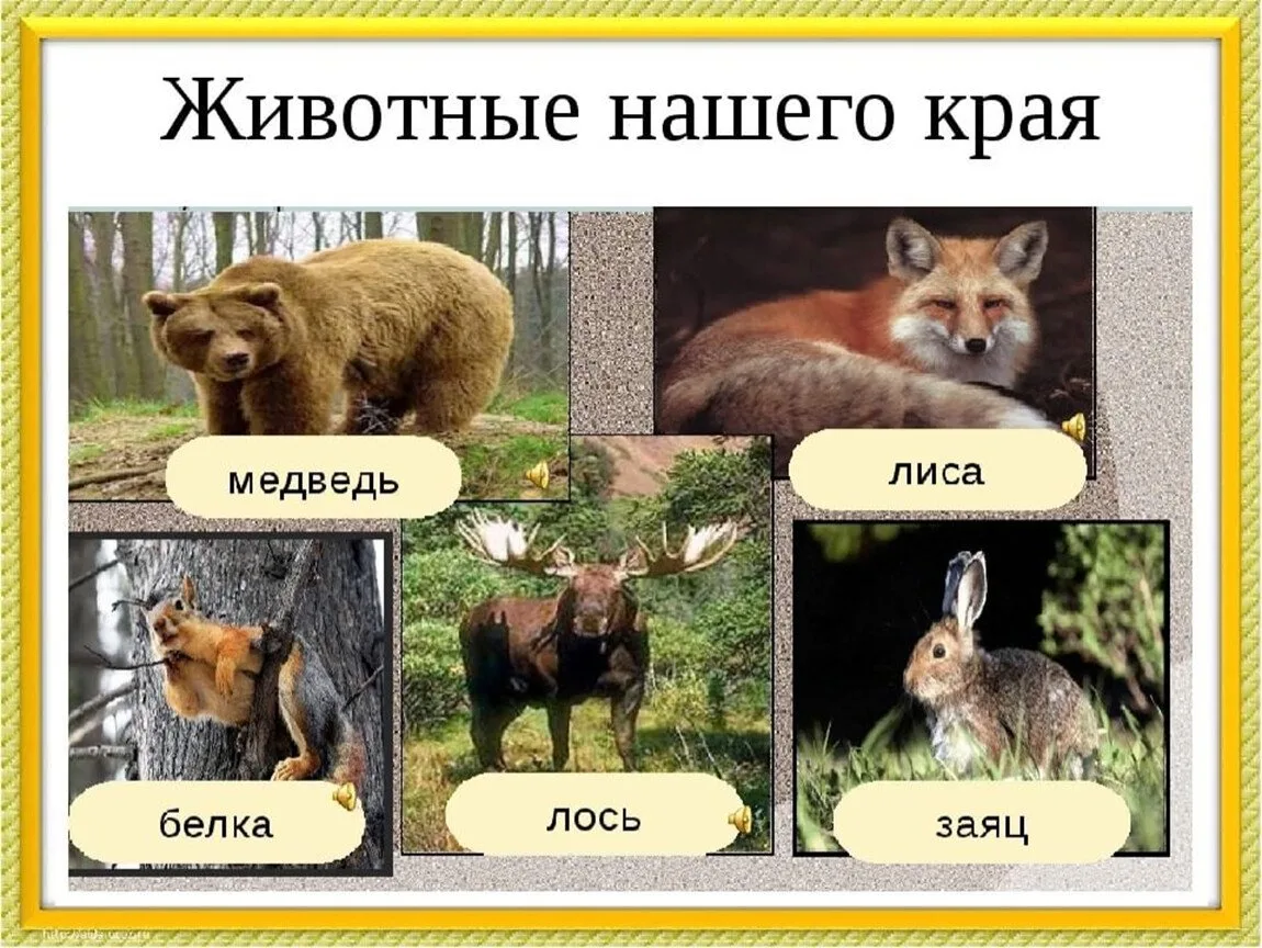 Тематический день «Животные нашего края» в младшей группе "Непоседы".