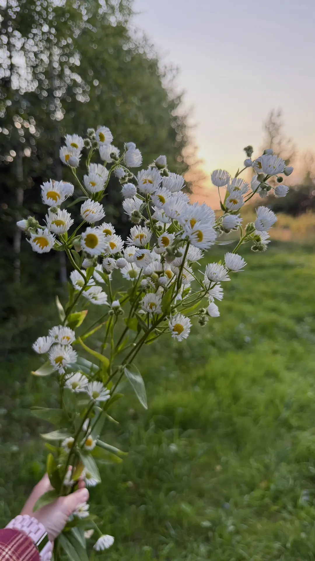 все оттенки зеленого и любимая slow life выходного дня ❤️