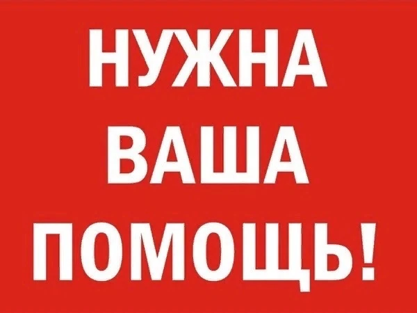 Продолжаем помогать нашим бойцам 🇷🇺