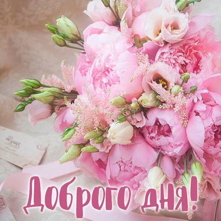 🌸🌿🌸🌿🌸🌿🌸🌿🌸🌿