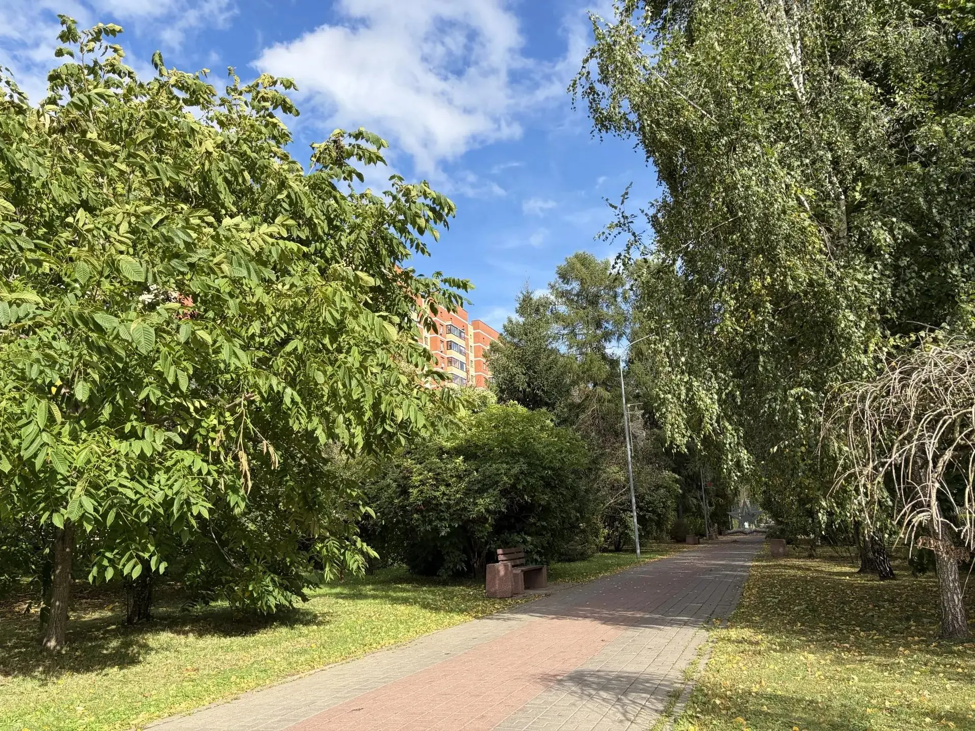 Прекрасного дня!☀️