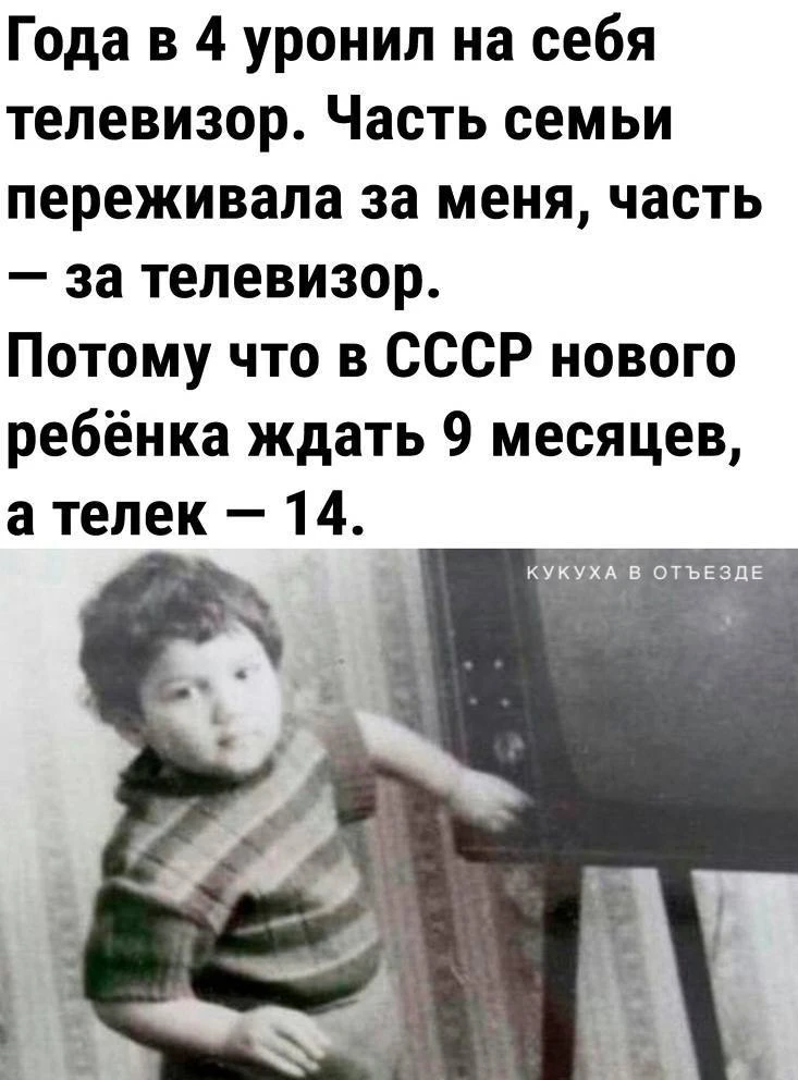 Кукуха в отъезде 🐦