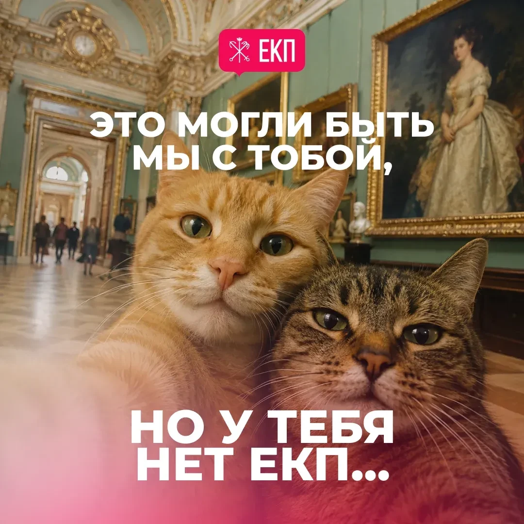 💳 Подписывайтесь на канал Единой карты Петербуржца в «Максе»!