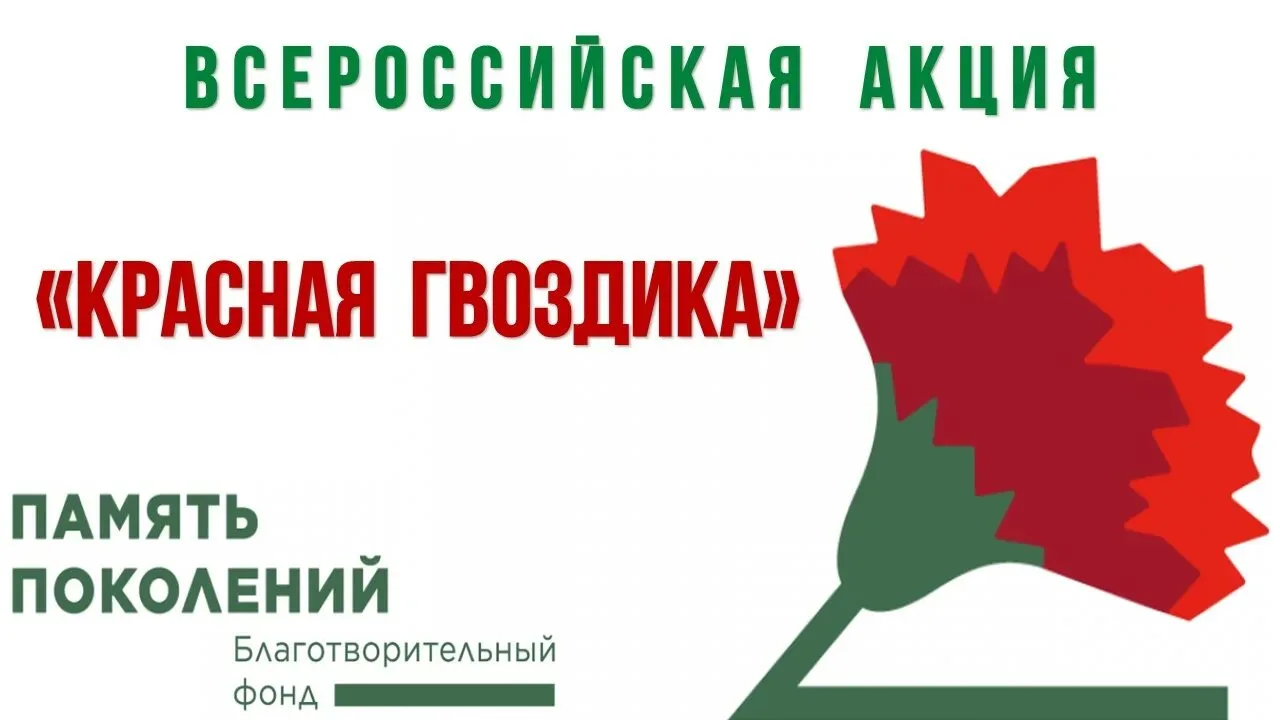 Сегодня наша школа с гордостью присоединилась к всероссийской акции «Красная гвоздика», организованн