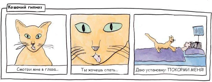 🧠 Инструкция к собственной кукухе