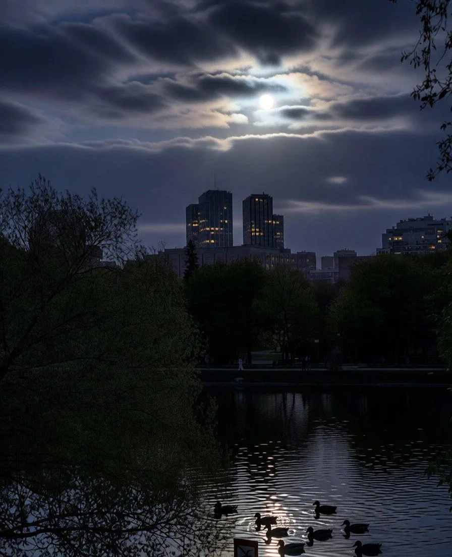 Доброй🌛