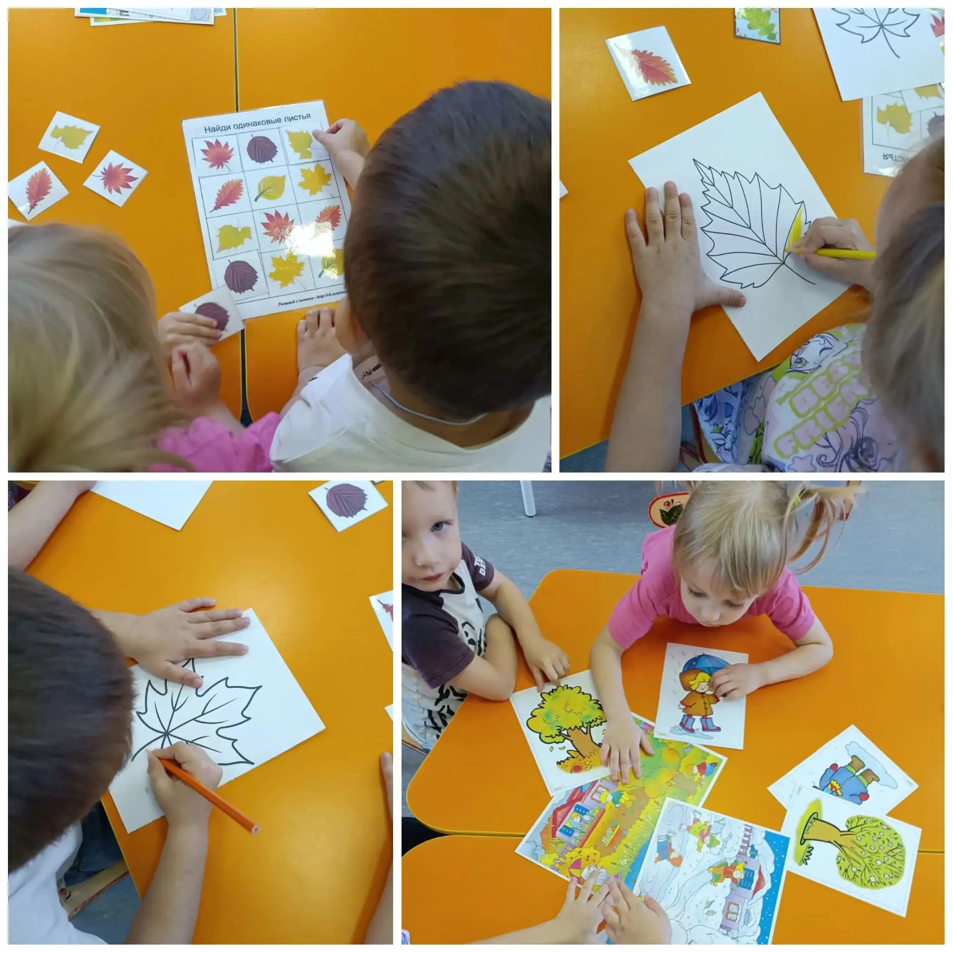 🍁 День осеннего листочка в группе «Пчёлки»! 🍁