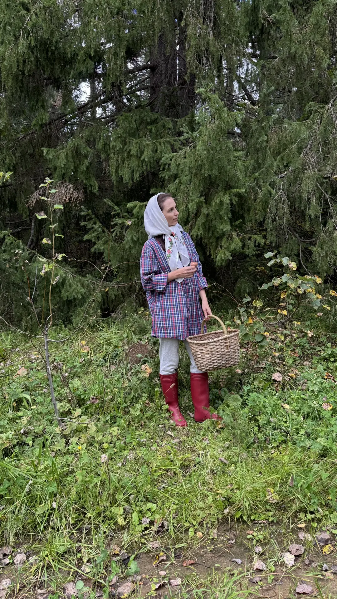 Во второй половине дня за грибами! 🍄‍🟫