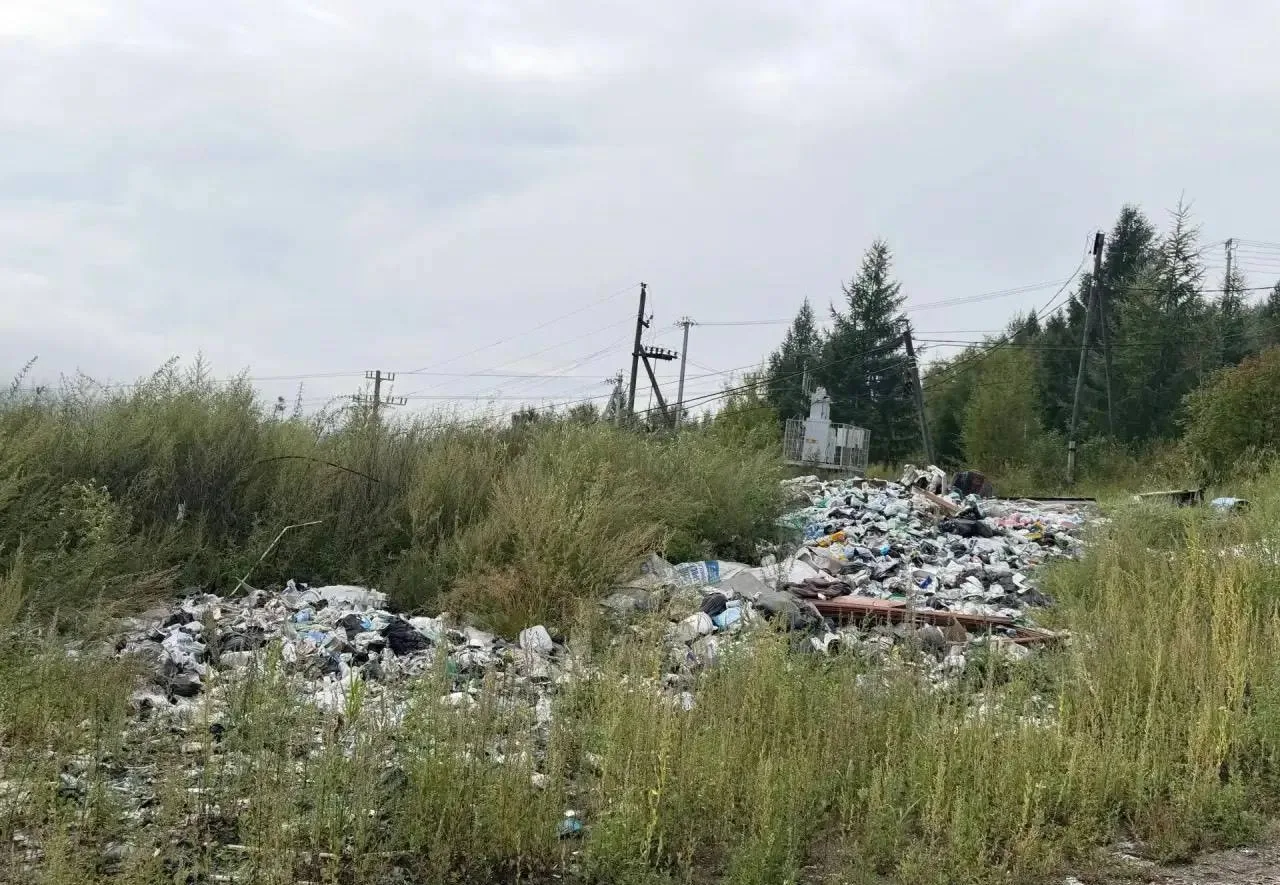 В Могочинском округе обнаружили 20 незаконных свалок на контейнерных площадках и земель...