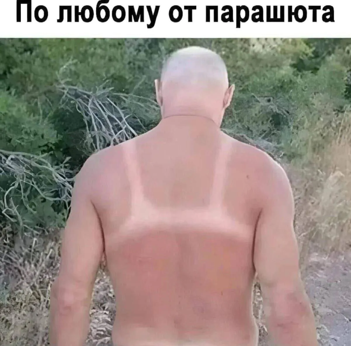 Без вариантов
