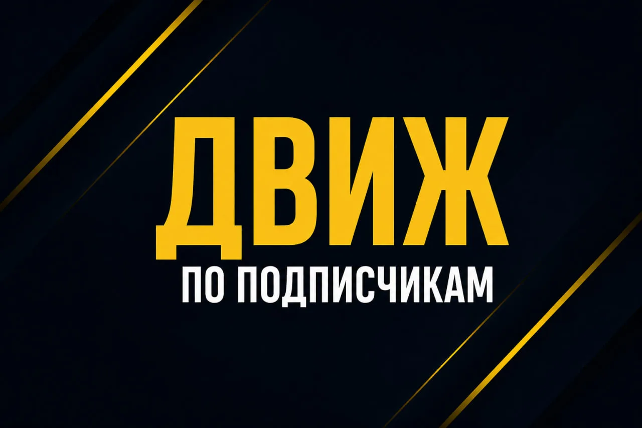 ДВИЖ по подписчикам.