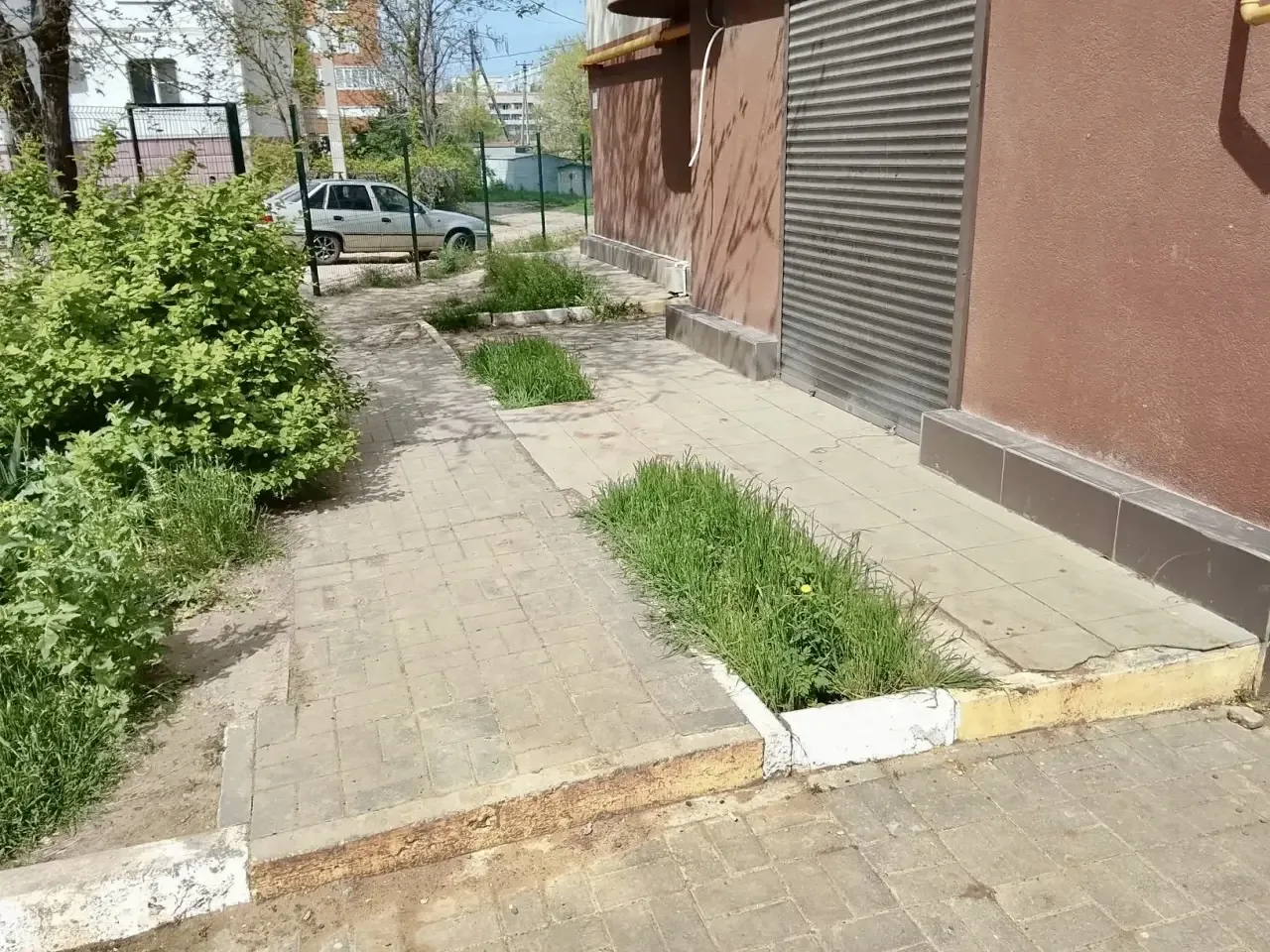К новости «🌾 Летний сезон: трава под контролем!»