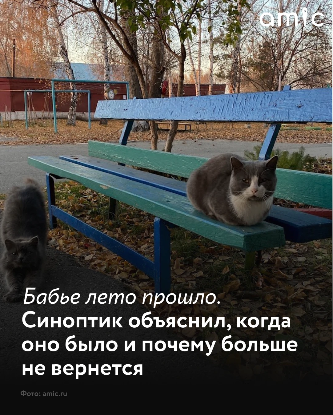 Самый теплый день осени пришелся на 11 сентября, когда температура воздуха в отдельных ...