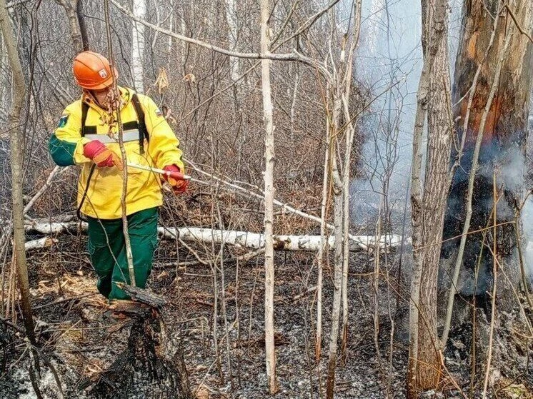 С 15 мая в Мурманской области вводится пожароопасный режим 🌲🔥Губернатор Андрей Чибис ...