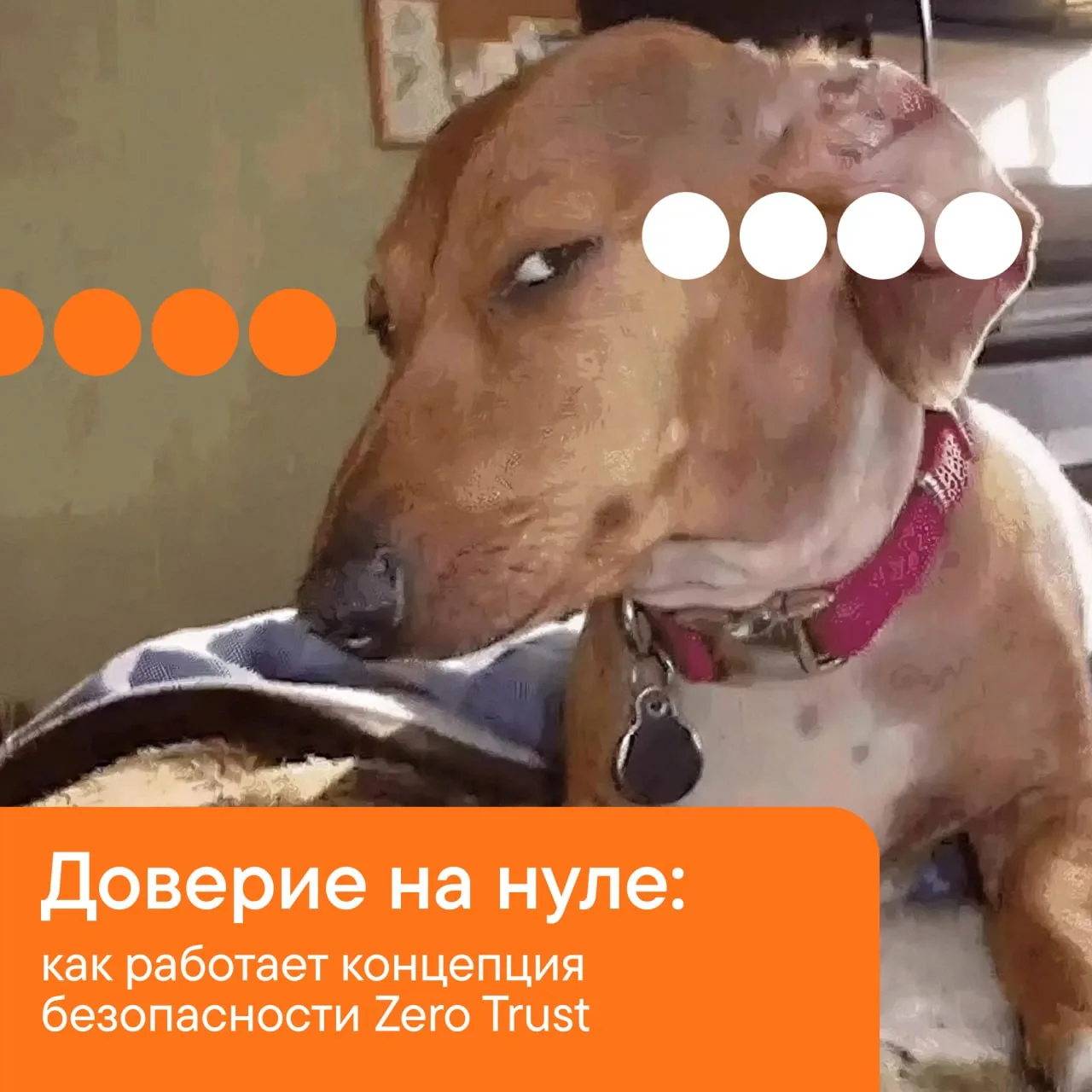 Никогда не доверяй, всегда проверяй 😑
