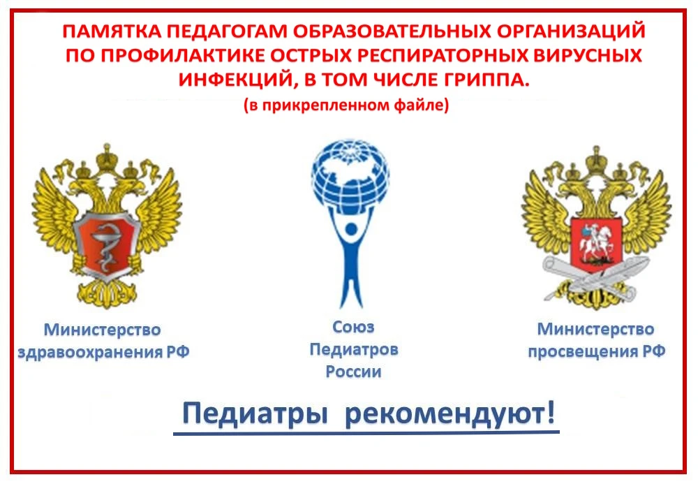 Памятка педагогам образовательных организаций по профилактике острых респираторных виру...