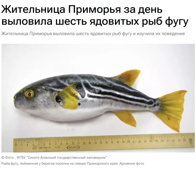 Жительница Приморья Анна рассказала РИА Новости, как за день выловила шесть ядовитых ры...