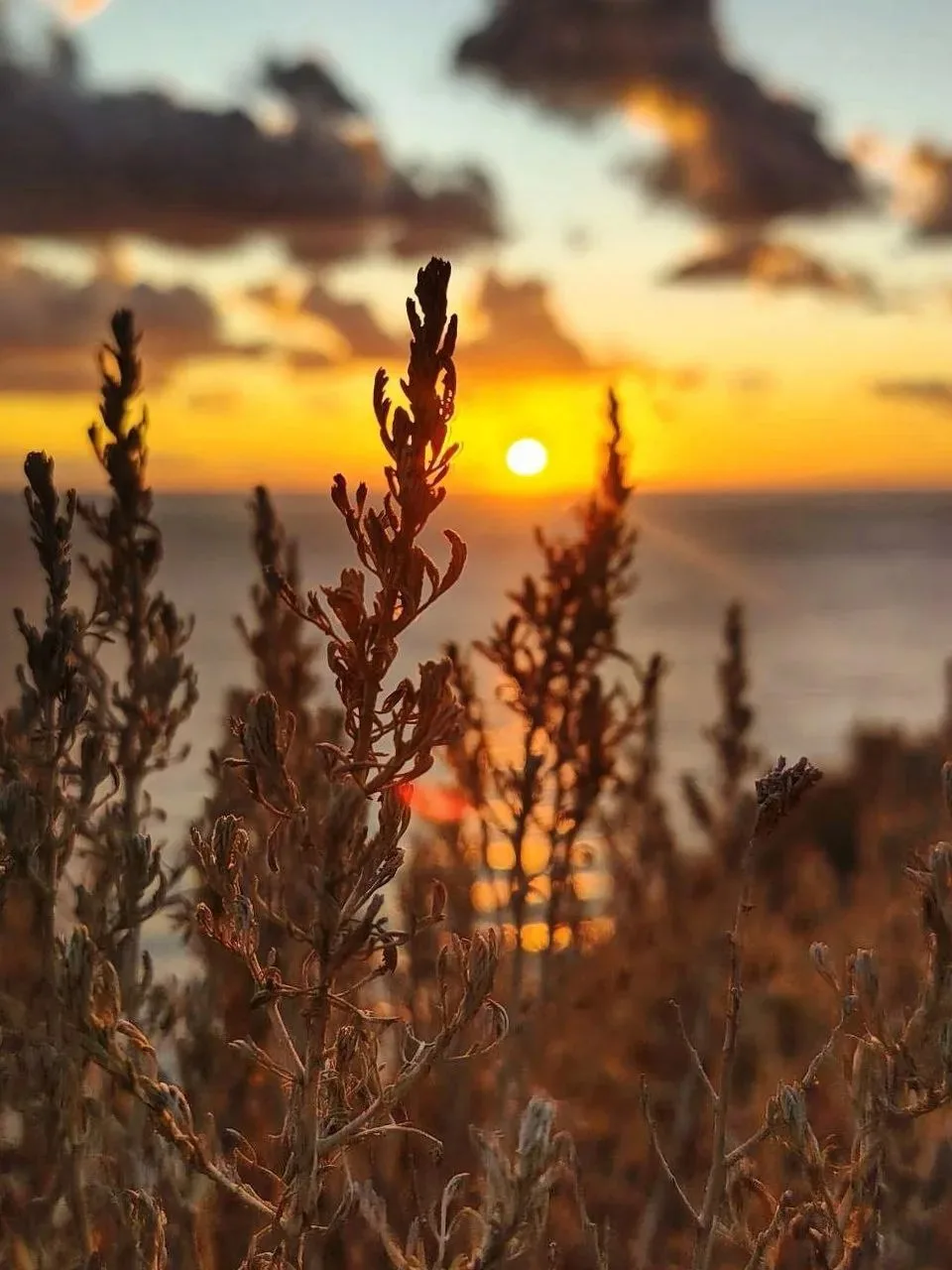 Закат в Анапе — как тихий разговор с морем. 💛