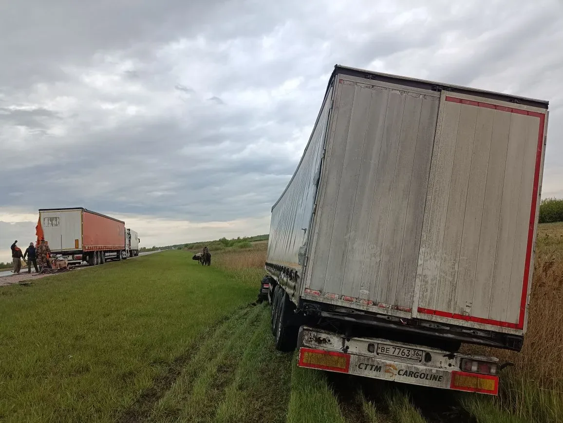 🚚🚛 65 километров: спасатели Чановского ПСО мчались на трагедию   Вчера на 1090-м километре федеральн