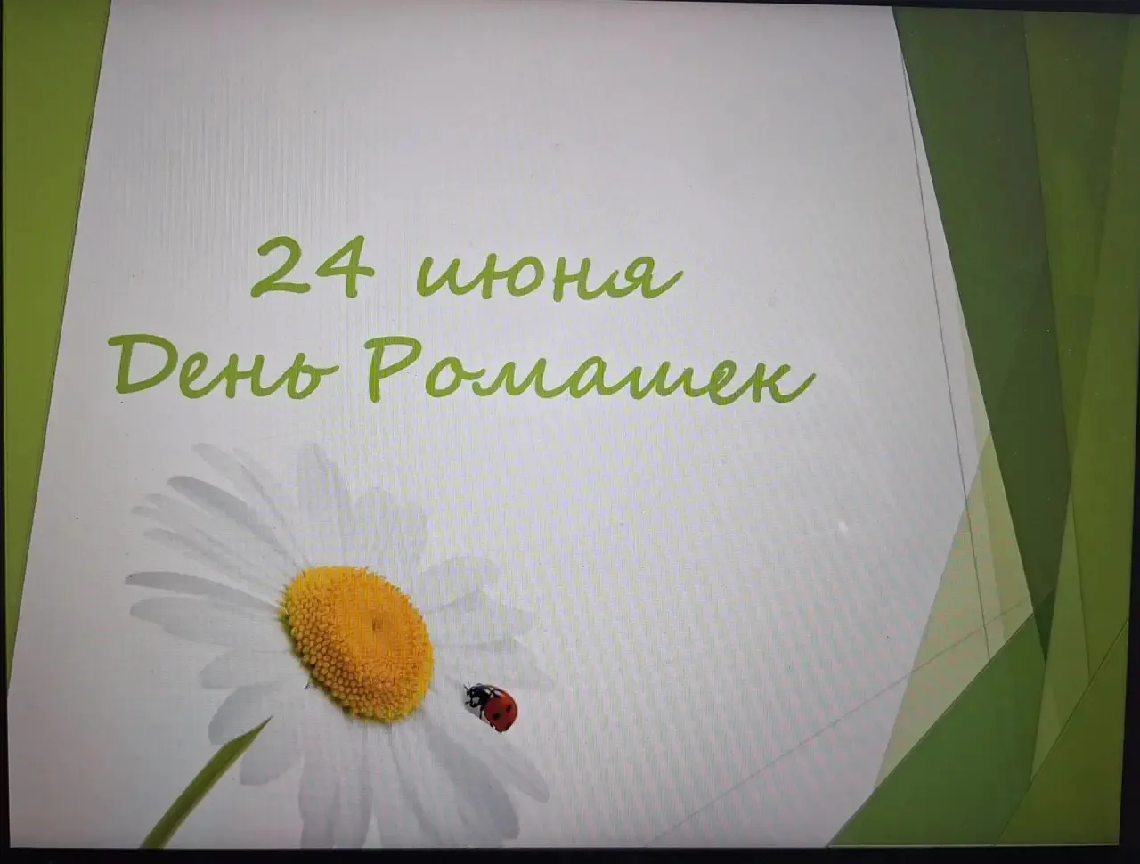24 июня - День ромашки.
Этот праздник, посвящён самому популярному полевому цветку России, который с