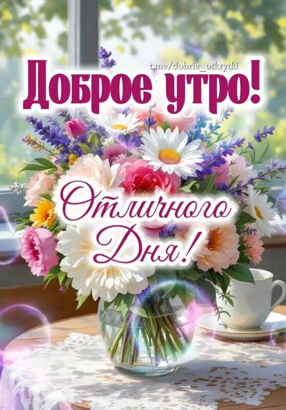 🌸🪷🌿🌺☕