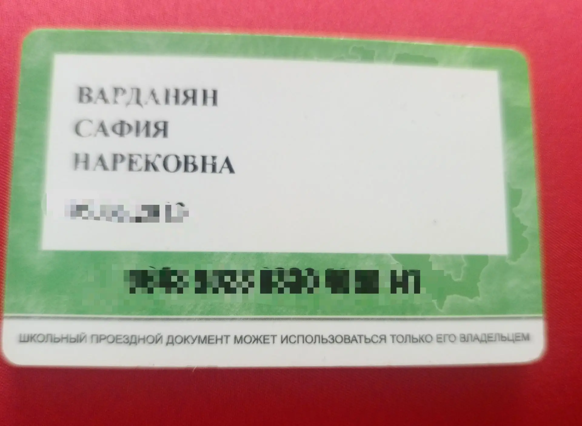 Найден школьный проездной документ.