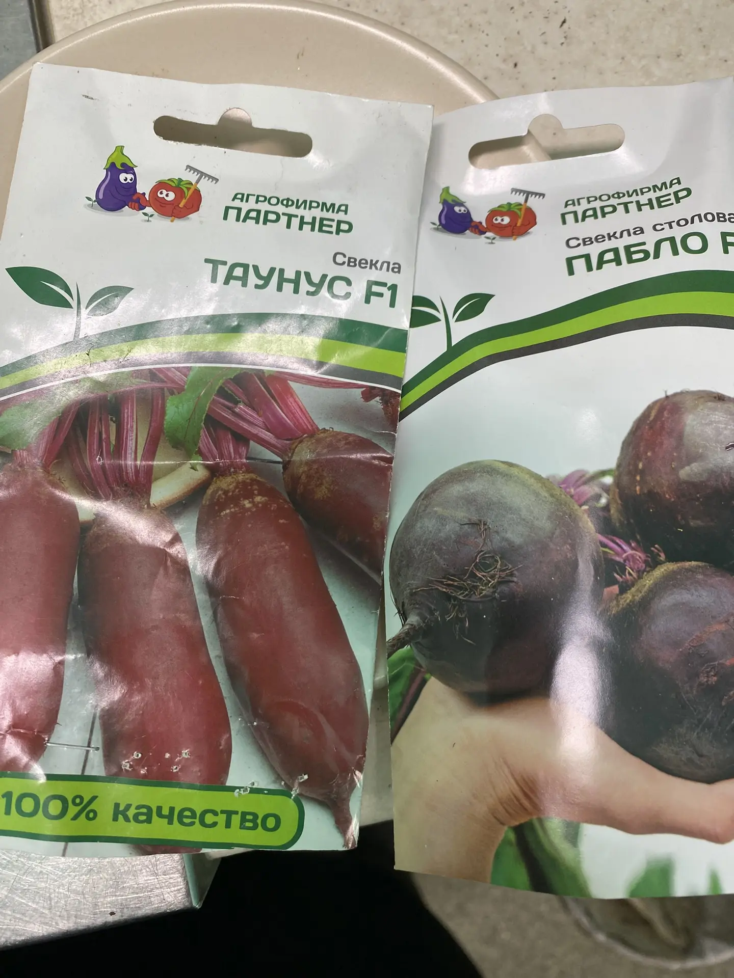 🌱 Свекла на рассаду — мой проверенный способ для раннего и дружного урожая!