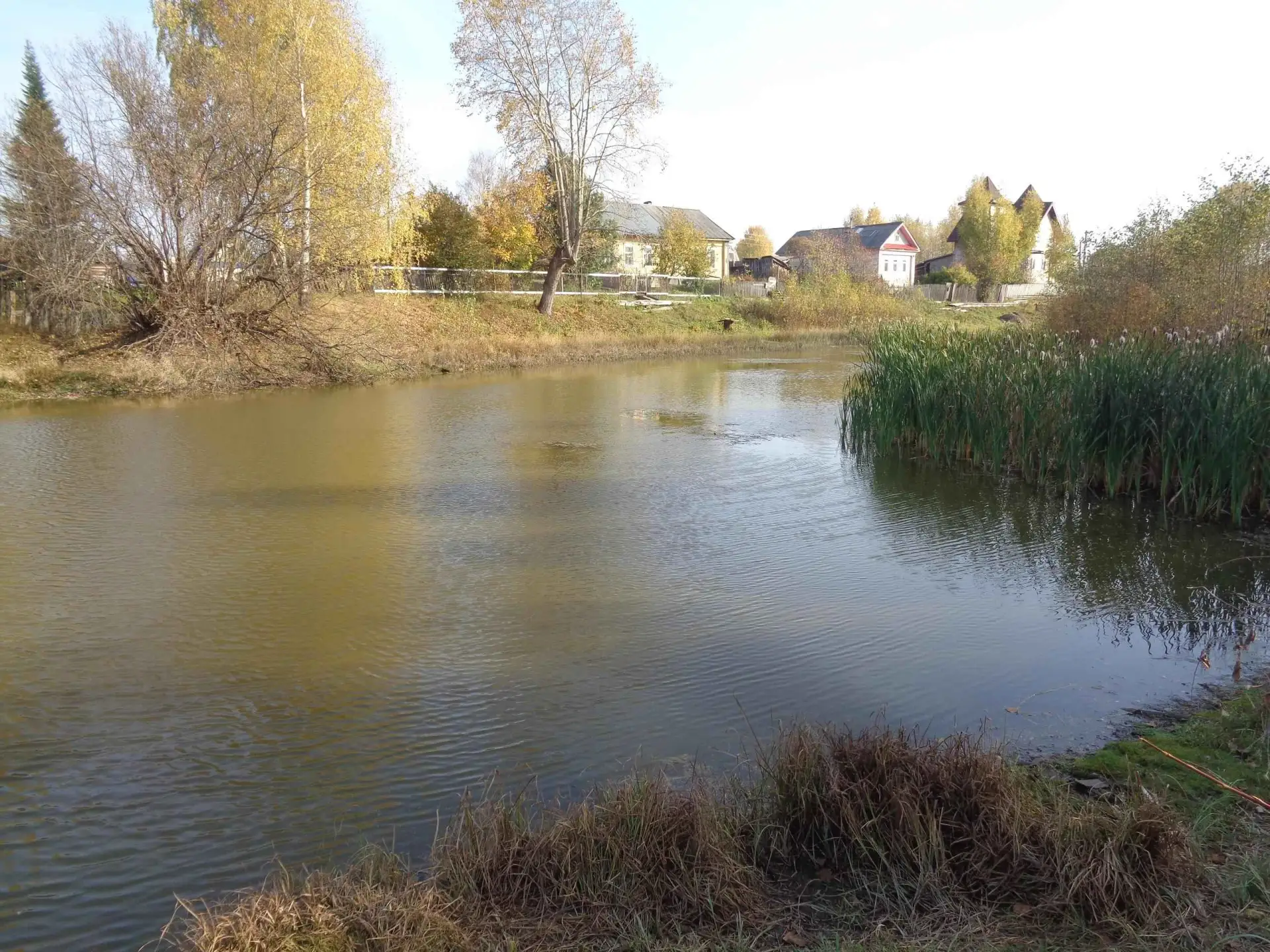 💛 Красота севера, земля Коми