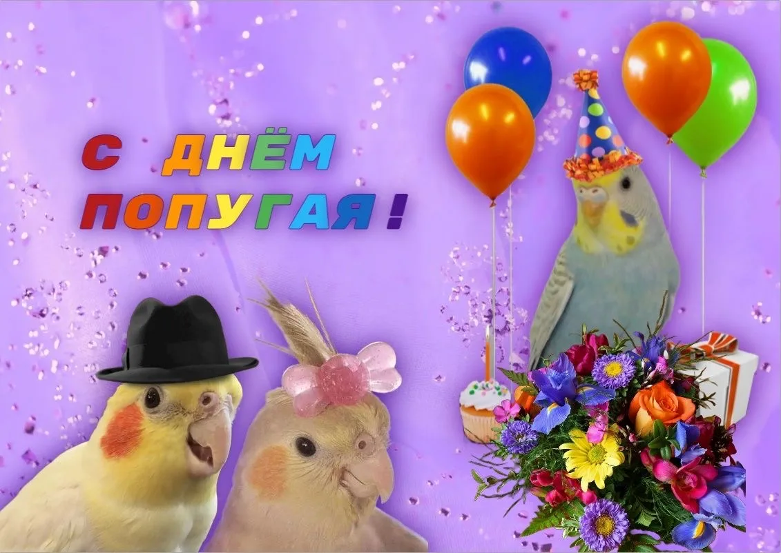 🦜 31 мая — Всемирный день попугая!