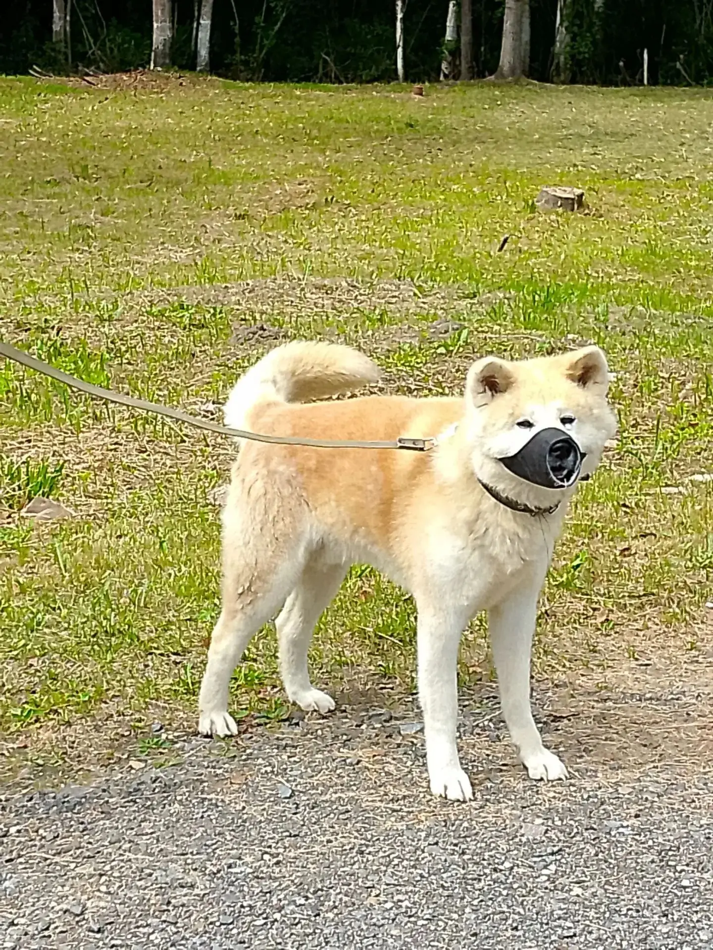 Наши пациенты 🐾