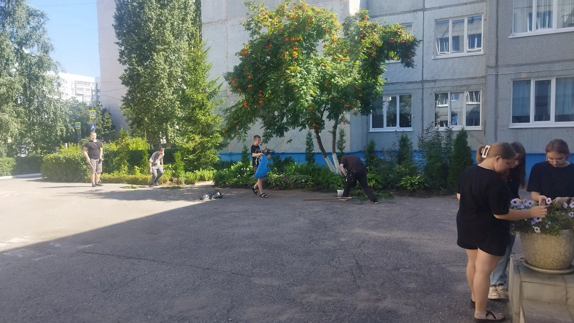 Летняя отработка-2026 в 9В: миссия выполнена! 🌹📚
Вот и подошла к концу наша летняя отработка. Три 