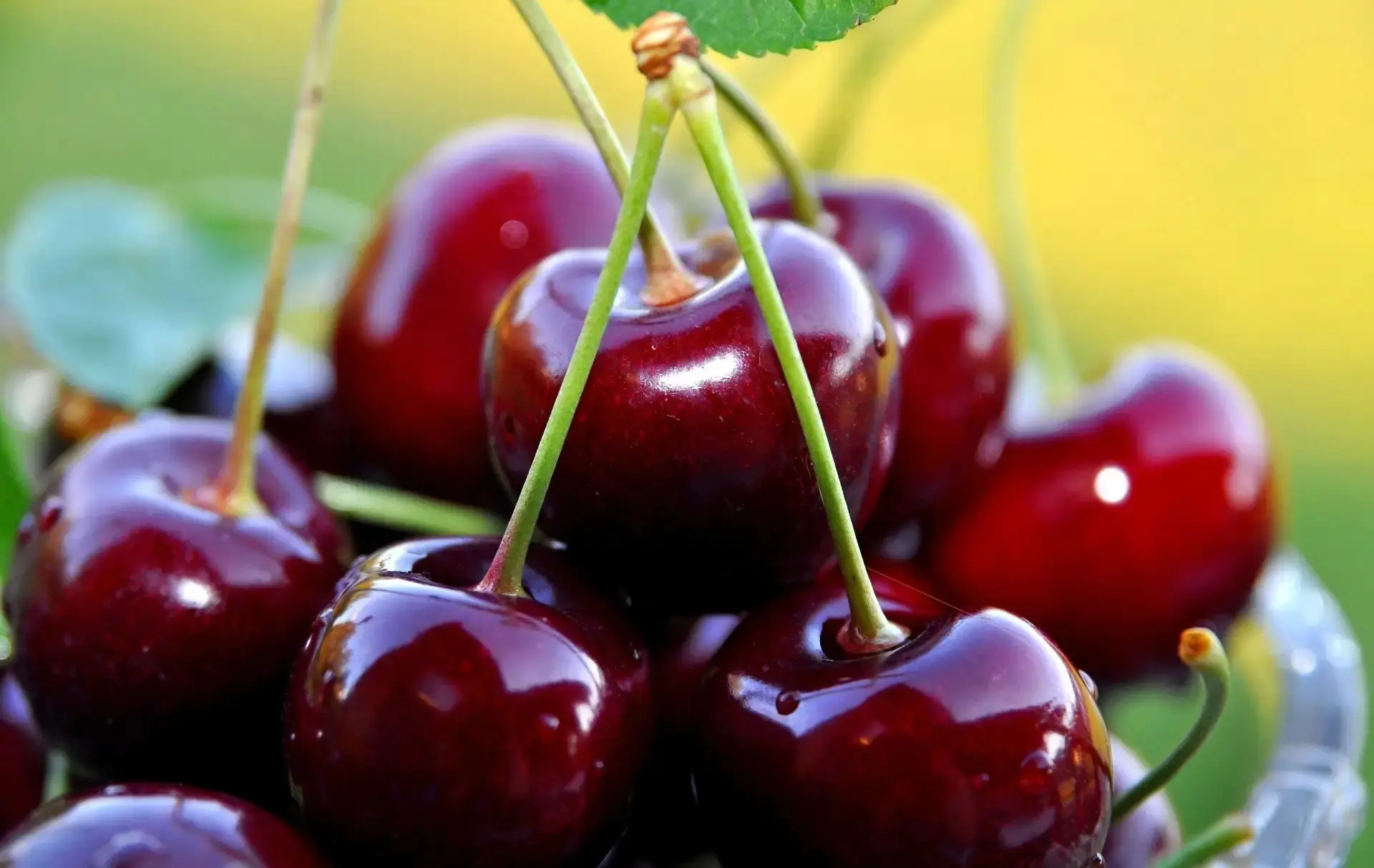 Как вырастить крупные и сочные ягоды 🍒