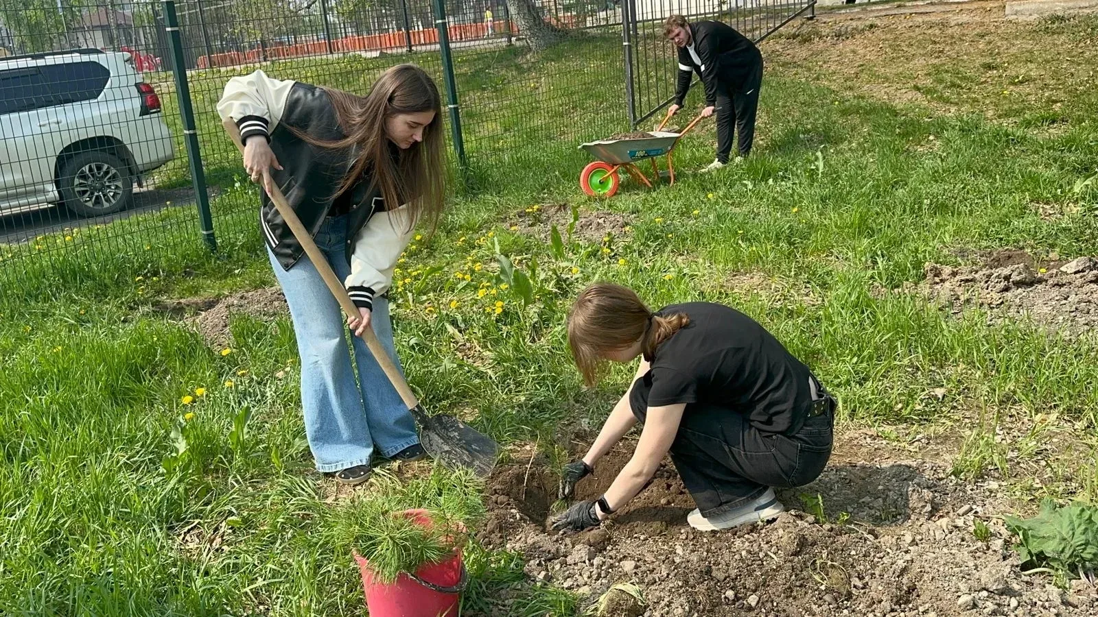 «Сад – Связь поколений»  🌱 Учащиеся 11‑го класса школы № 5 присоединились к Всероссийской акции «Сад