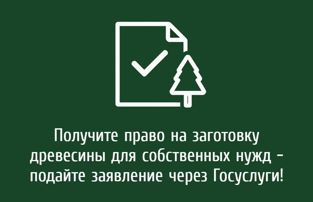 Получите право на заготовку древесины для собственных нужд — подайте заявление через Го...