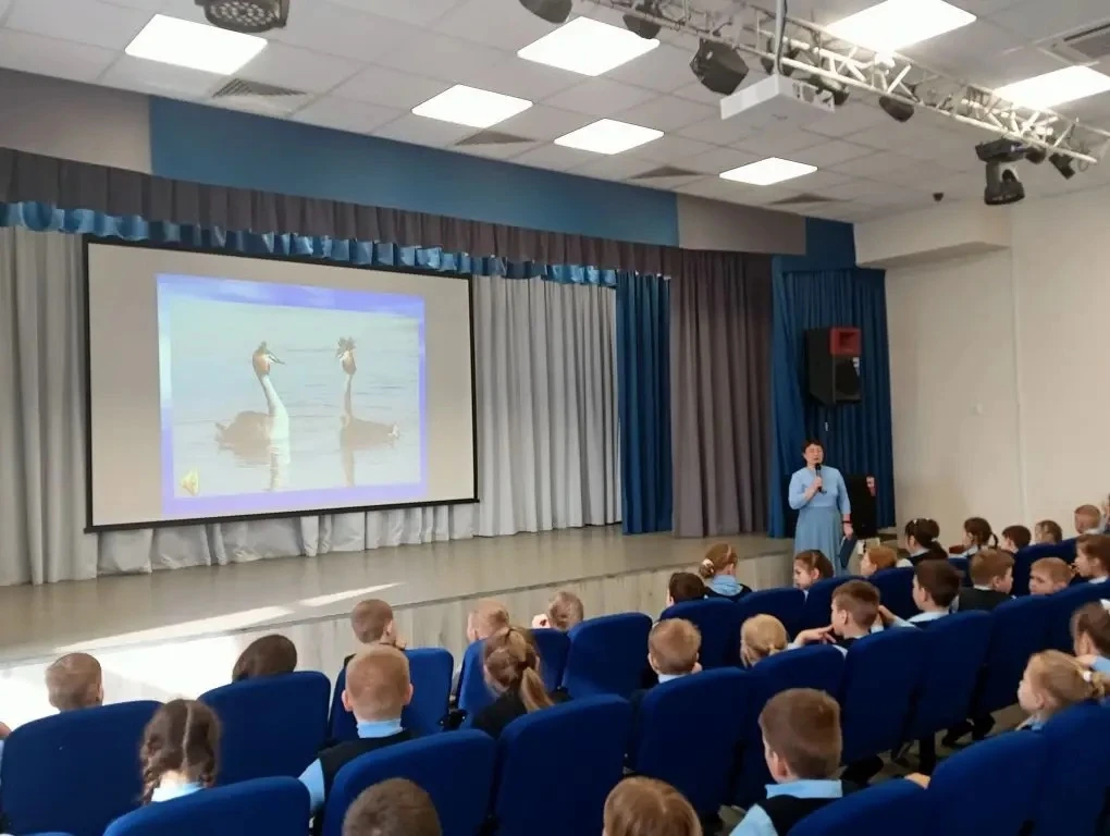 🦢 «ЧОМГА — ПТИЦА 2026 ГОДА!» 🦢  📍27 марта для учащихся начальной школы прошло увлекательное мероприя