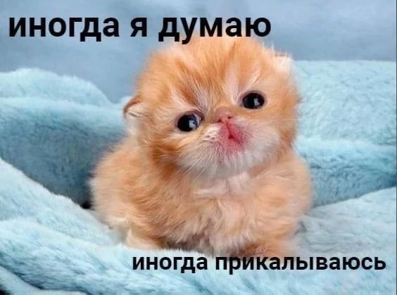 ДЕВА, 5 августа. Направление ваших мыслей иногда пугает окружающих

🛑Твои личные предсказания судьб
