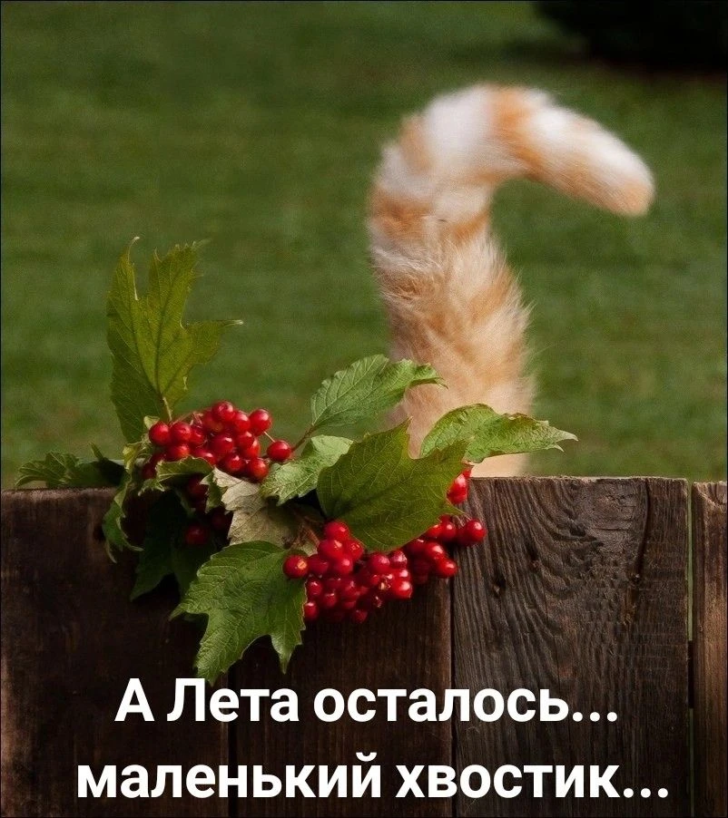 25.08.2026