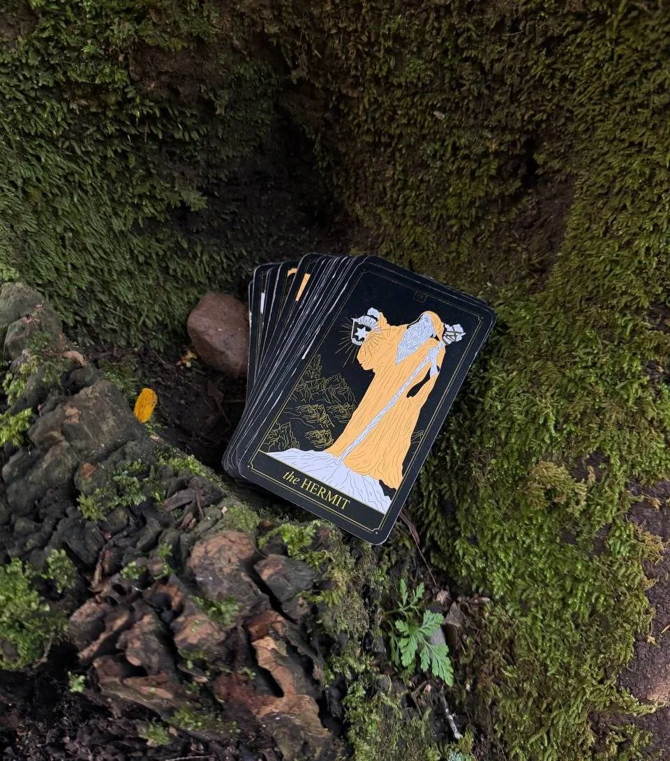Отшельник 🌳

Эта карта не про одиночество, а про внутреннюю паузу. Про момент, когда важно останови