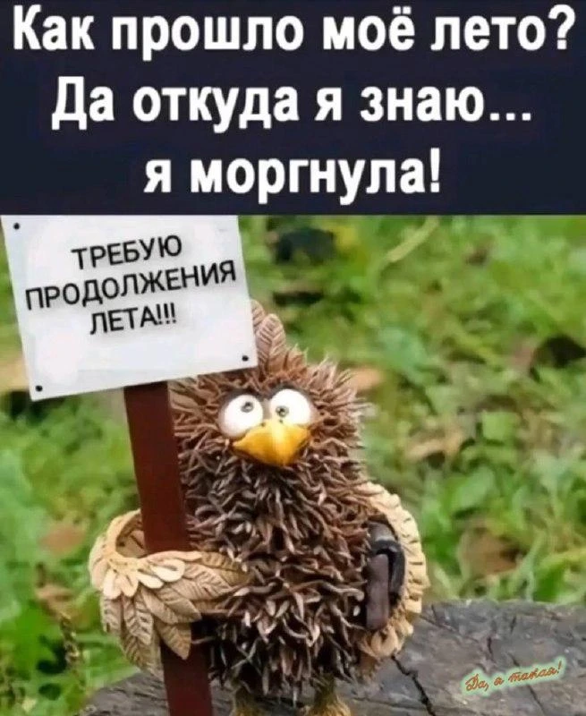 Мы все требуем!😂