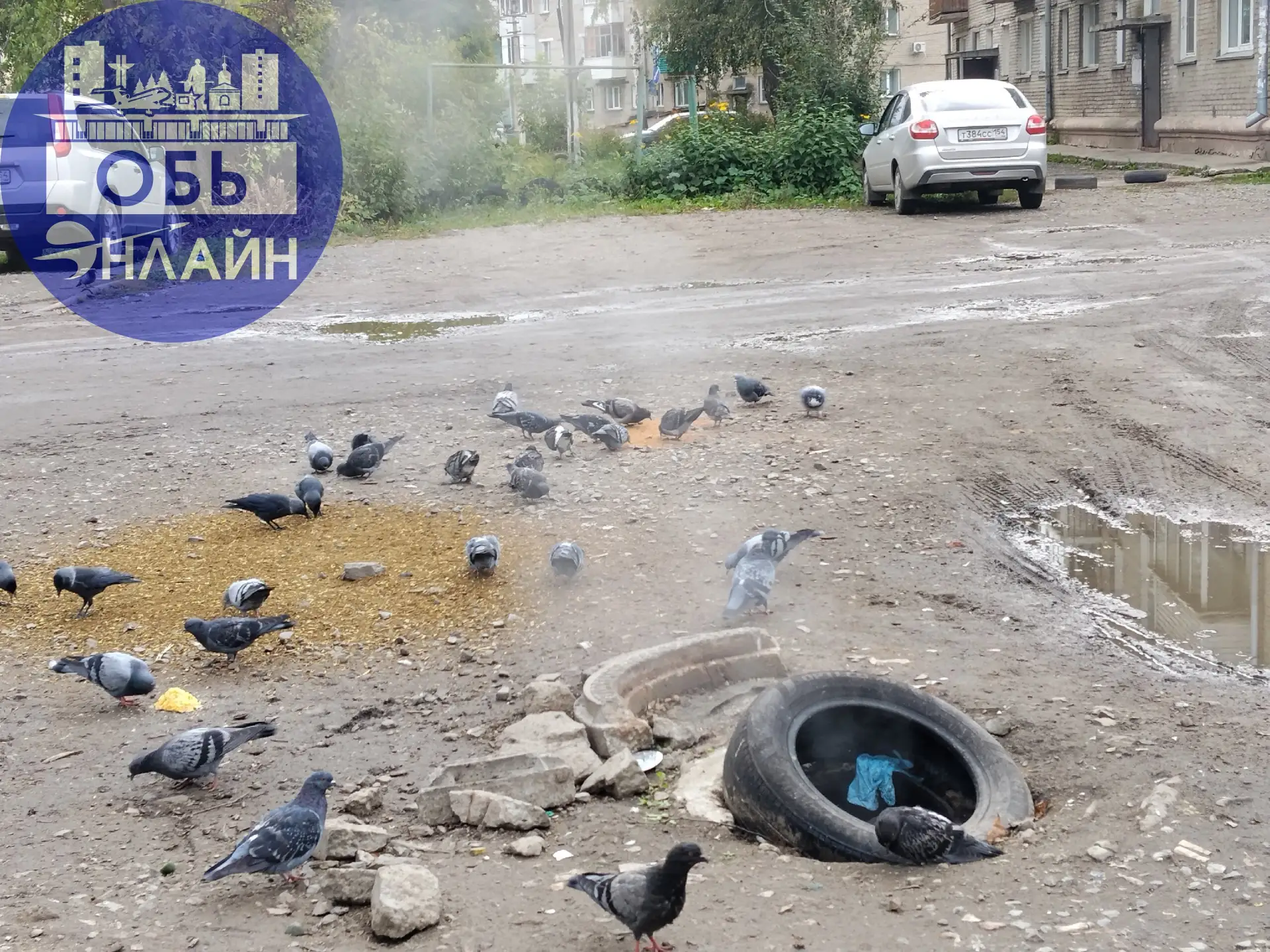 Парят люки уже больше двух недель.