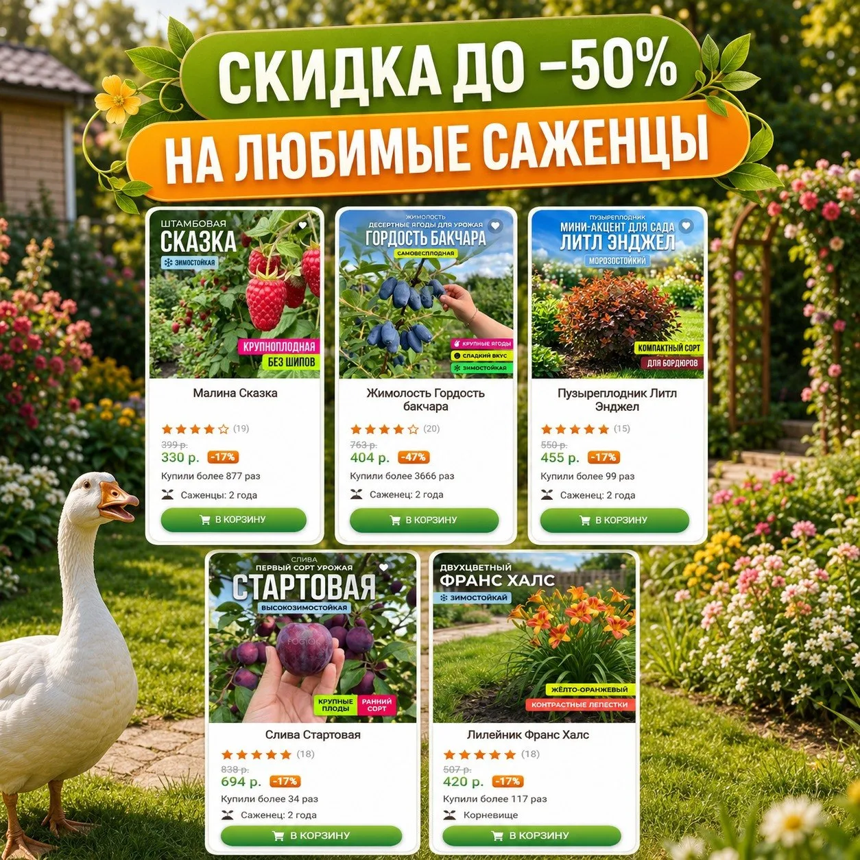 🔥 СКИДКИ ДО −50% — что пора добавить в сад?