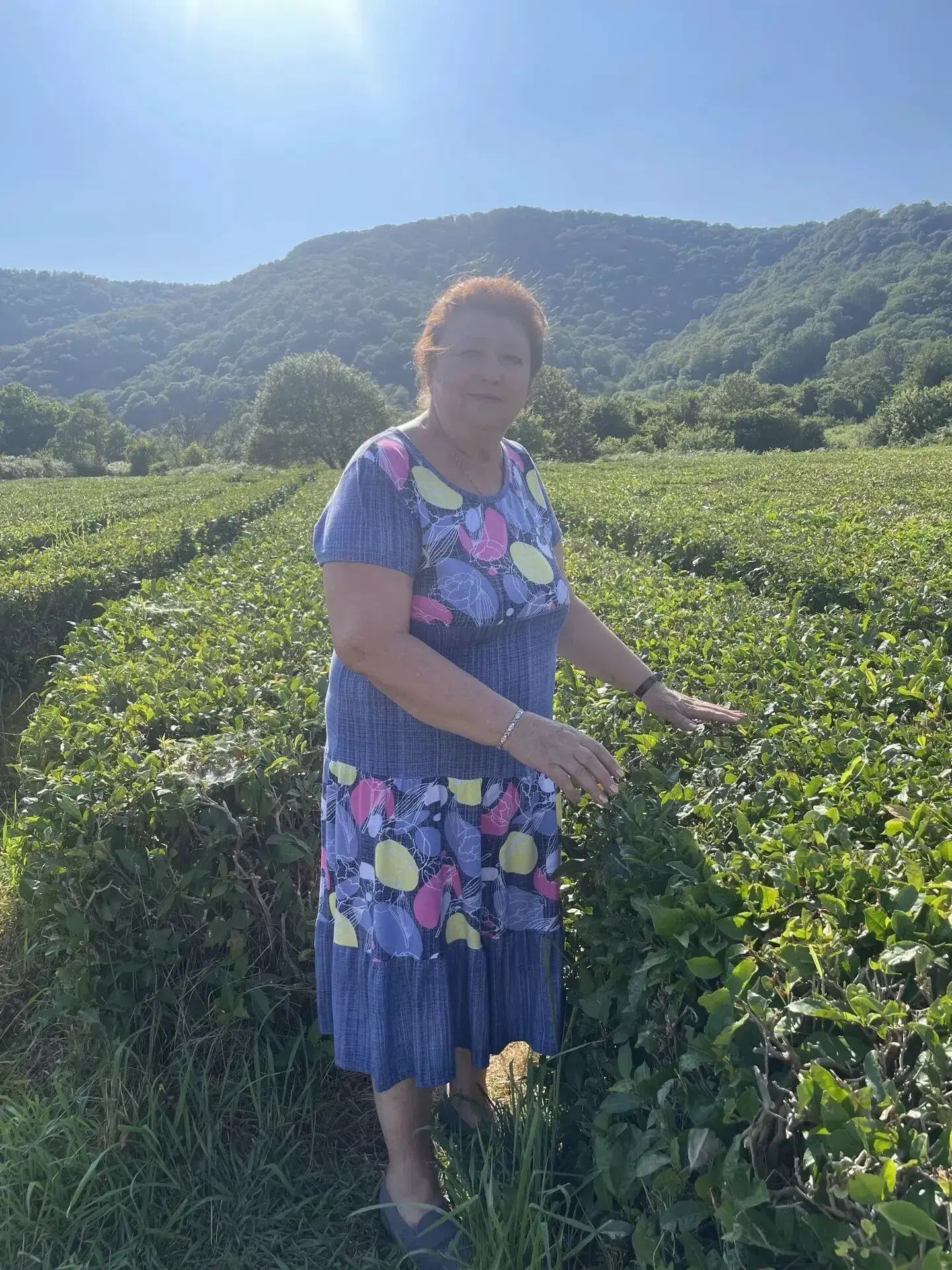 Вот оно какое наше лето 🌞: Галина Викторовна на чайной плантации. Уж она точно знает, какой чай луч